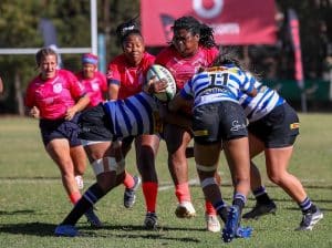 Read more about the article Impressive Daisies smash WP to confirm home semi-final