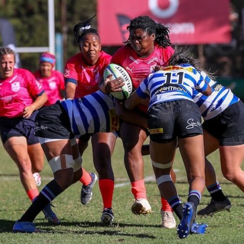 Impressive Daisies smash WP to confirm home semi-final