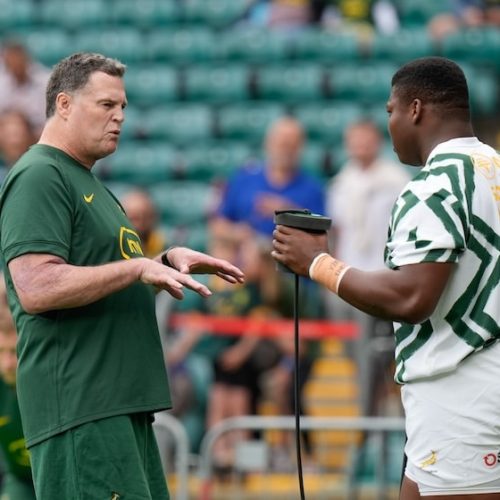 Erasmus cuts Bok squad after wrapping up main preparations for Portugal Test