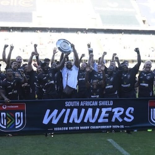 Gutsy Sharks beat Lions to claim URC SA Shield
