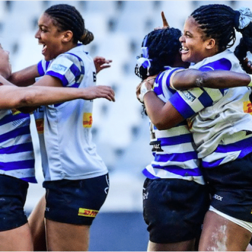 WP book final spot in Women’s Premier Division against Daisies