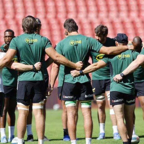 Springboks: Scrumptious