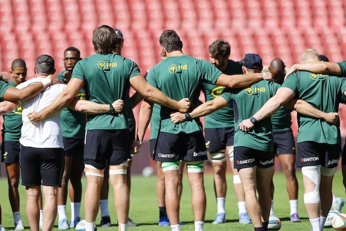 You are currently viewing Springboks: Scrumptious