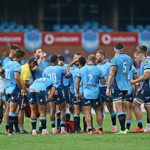 Vodacom Bulls go down fighting in EPCR Challenge Cup
