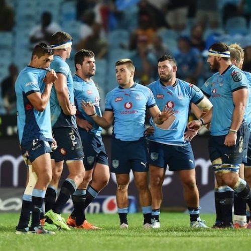 Opportunity knocks for Vodacom Bulls in EPCR Challenge Cup