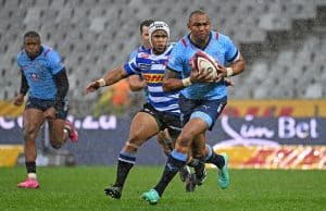 Read more about the article SA Rugby pays tribute to Cornal Hendricks