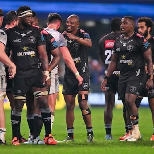 Sharks prepare to host Scarlets in URC