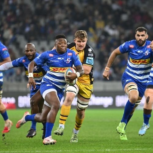 DHL Stormers join Bulls and Sharks in URC playoffs