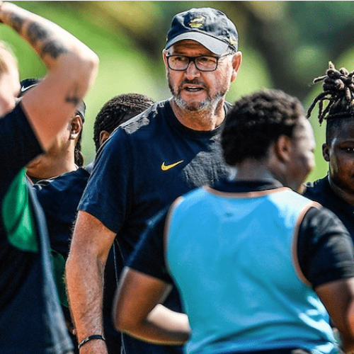 Springbok Women enter next phase of RWC preparations