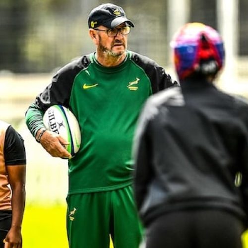 Qolo to lead Springbok Women to Madagascar