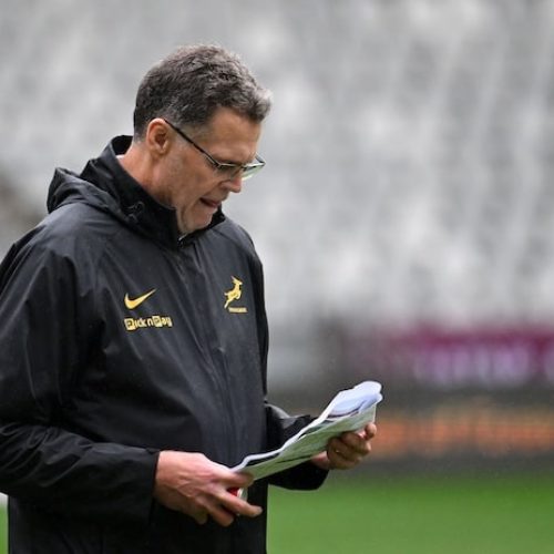 Springbok planning on track – Erasmus