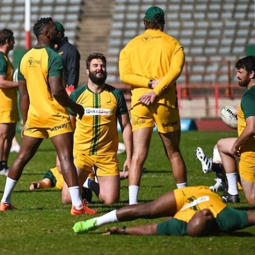 Kleyn ruled out of Springbok squad due to injury