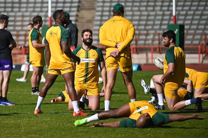 You are currently viewing Kleyn ruled out of Springbok squad due to injury