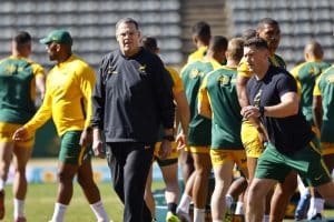 Read more about the article Boks gearing up for testing Castle Lager Rugby Championship campaign