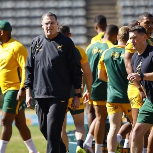 Boks gearing up for testing Castle Lager Rugby Championship campaign