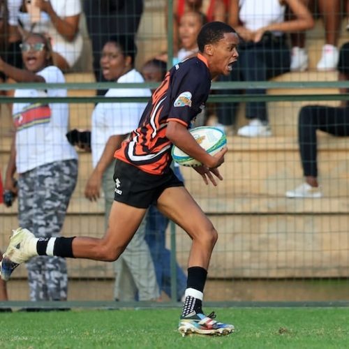 Junior Boks call up Felix as they prepare for Scottish challenge