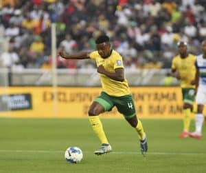 Read more about the article Magnificent Mokoena