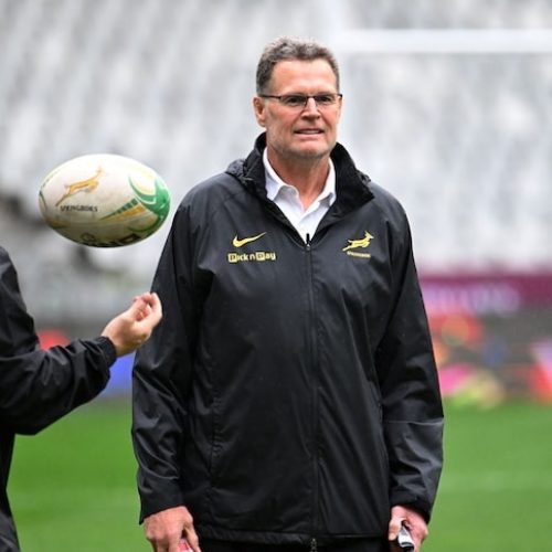 Erasmus to dial down on experiments for Rugby Championship