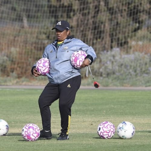“We just need to put our game plan in place” – Dr Ellis