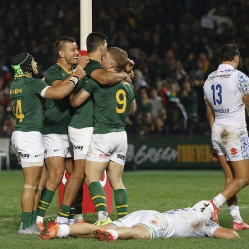 Springboks secure hard-fought win over Italy