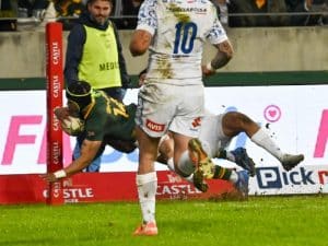 Read more about the article Gallery: Springboks produce masterclass win over Italty