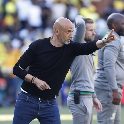 “Sundowns will be on point in two-three matches” – Cardoso