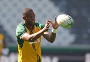 Read more about the article Fassi to start against Wallabies as Le Roux withdraws due to injury