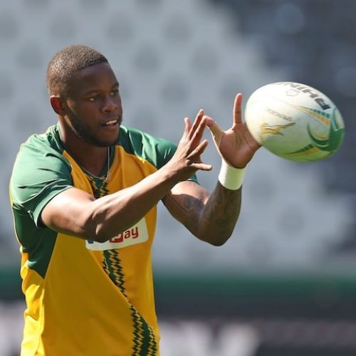 Fassi to start against Wallabies as Le Roux withdraws due to injury