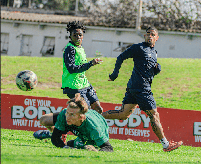 You are currently viewing WATCH: Dolly’s first training session with CT City