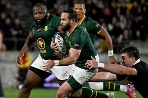 Read more about the article Reinach hits 50 in settled Bok squad to face Wales