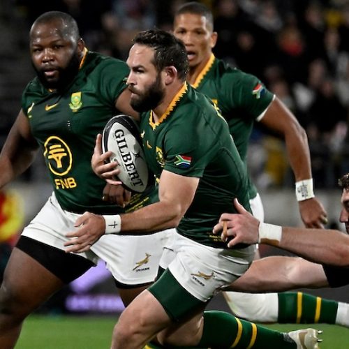 Reinach hits 50 in settled Bok squad to face Wales