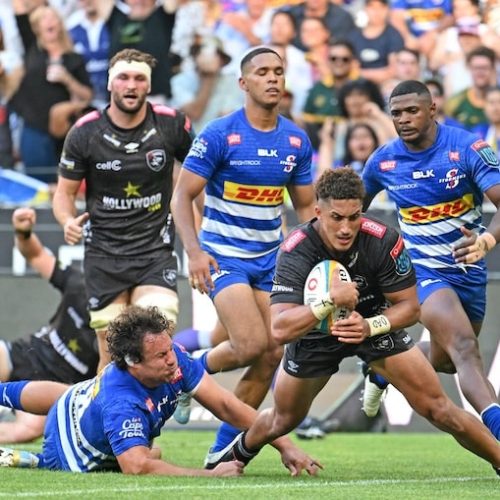 Sharks to face Stormers in pre-season warm-up