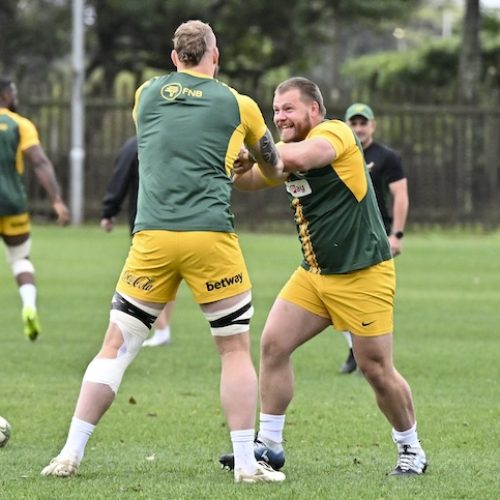 Venter to start against Pumas as Nche withdraws due to niggle