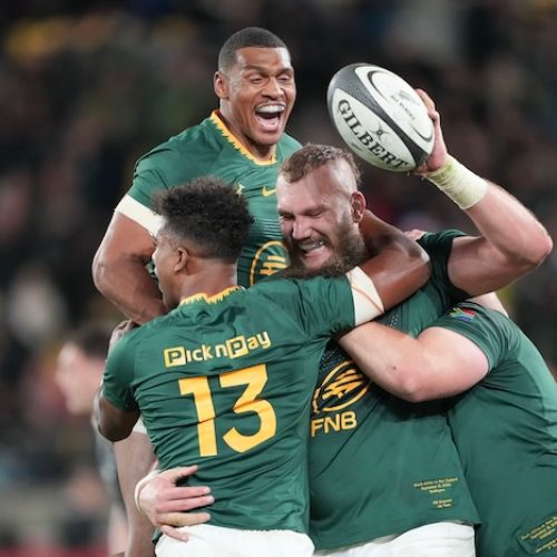 Springboks hammer All Blacks in Wellington