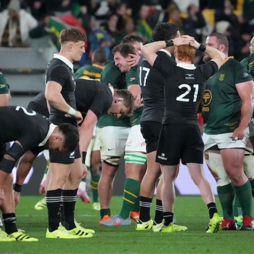 Gallery: Springboks hand All Blacks biggest defeat