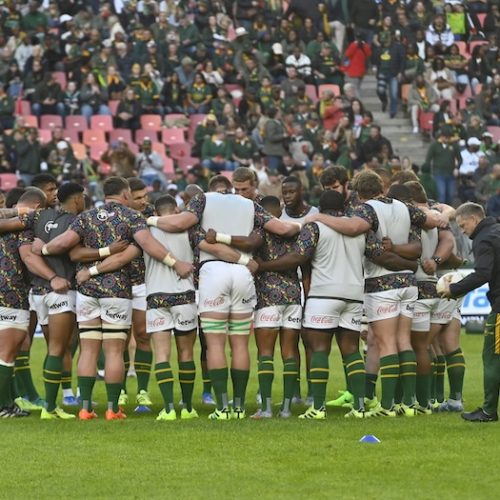 Boks kick off preparations for Pumas duel in Durban