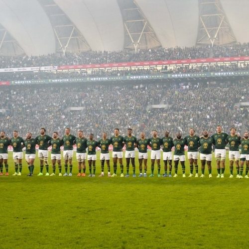 Springboks: Chasing History