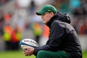 Read more about the article Springboks have high hopes for November Internationals