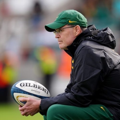 Springboks have high hopes for November Internationals