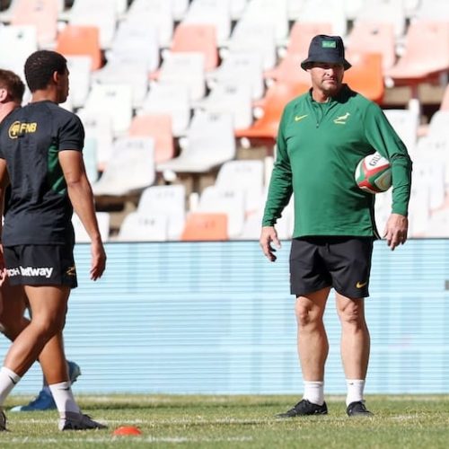 Human doesn’t believe in “favourites” tag as Boks prepare to face Wales