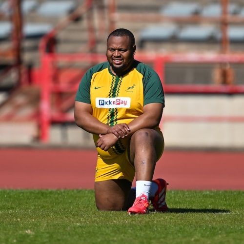 Ntlabakanye joins Springbok squad as Nche returns to SA