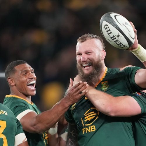 Snyman strikes 50 as Boks opt for experience against Ireland