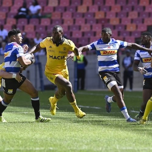 Stormers and Sharks keep SA flag flying in Europe