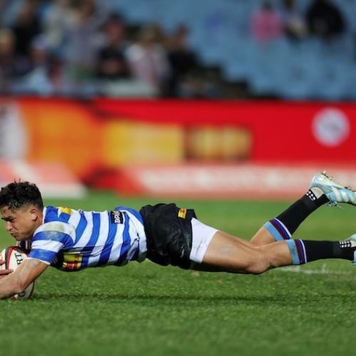 Stormers shine in bleak European opener for SA teams