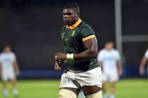 Read more about the article Junior Boks: Talent To Burn