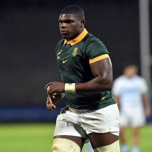 Junior Boks: Talent To Burn