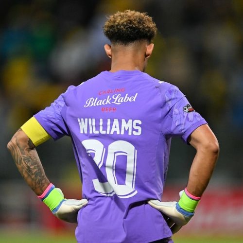 Williams deserves respect, not criticism – Cardoso