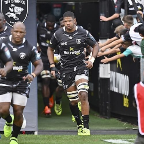 URC Derby Showdown as Sharks Host Bulls at Kings Park
