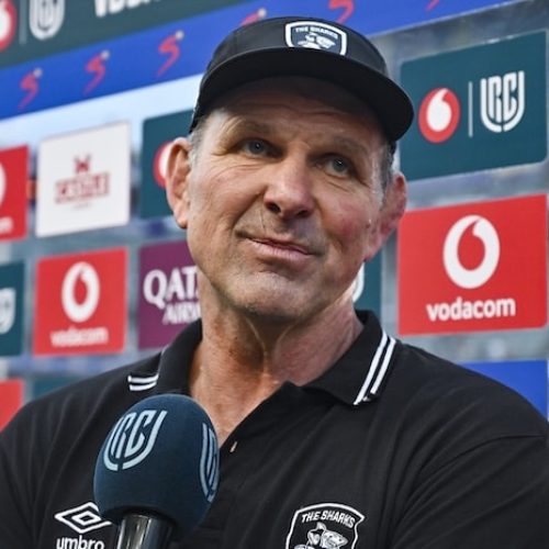 Plumtree steps down as Sharks head coach