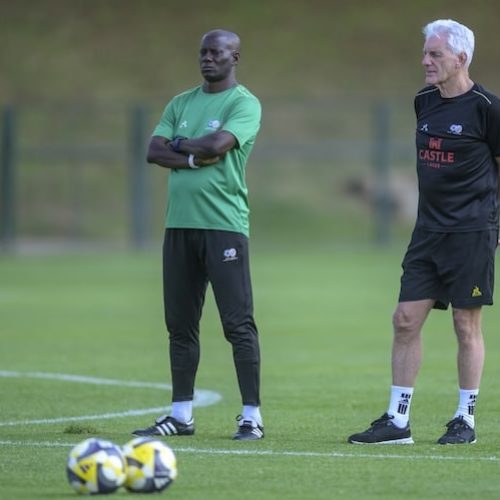 “We will try to bring gold” – Broos